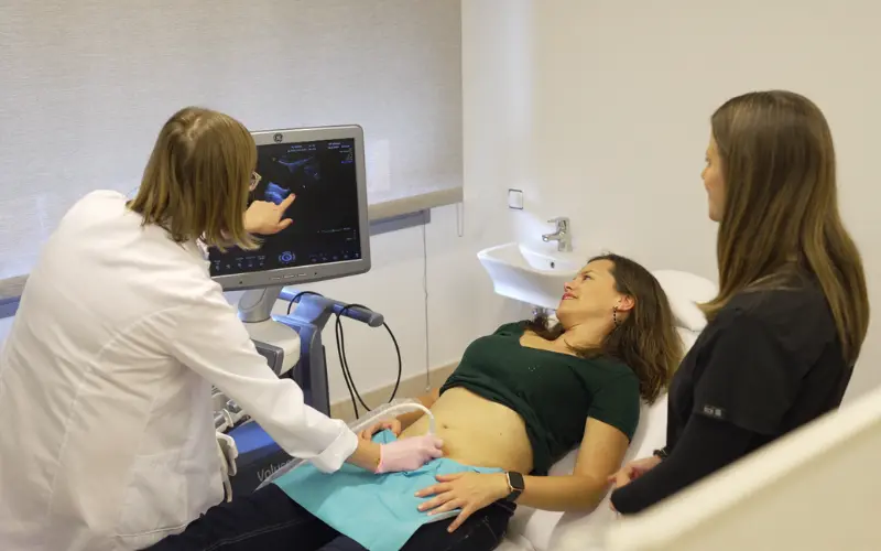 dr katharina spies vida fertility