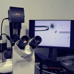 blog4_biopsia-225x300 Unfruchtbarkeit Ursachen für Unfruchtbarkeit