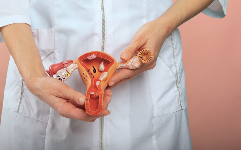 96 endocrine disruptors, fertility