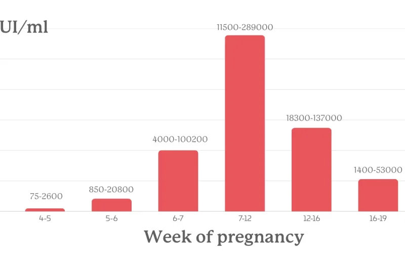week of pregnancy week of pregnancy