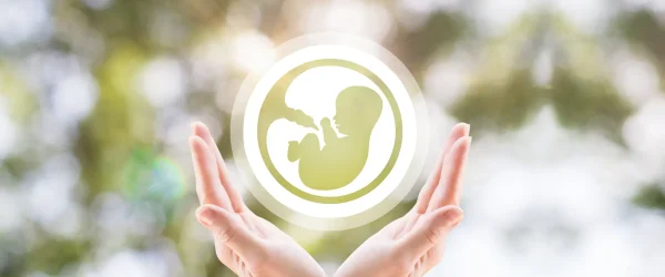 diferencia entre embrioadopcion y doble donación diferencia entre embrioadopcion y doble donación