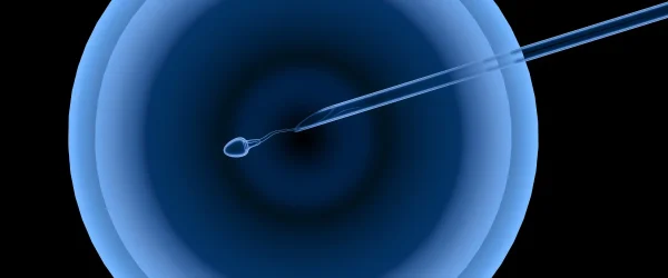 Quedar embarazada con inseminación artificial Quedar embarazada con inseminación artificial