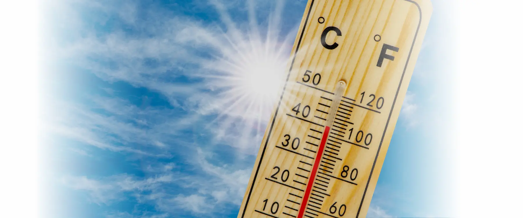 ola de calor durante una fiv