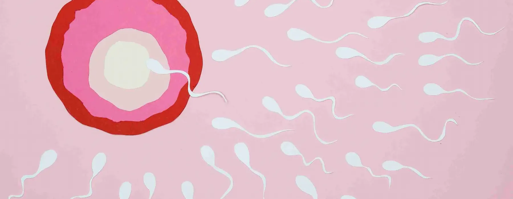 afwijkingen in het sperma afwijkingen in het sperma