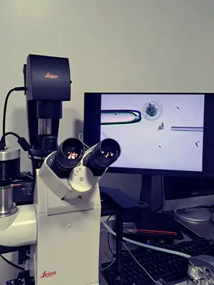biopsie biopsie
