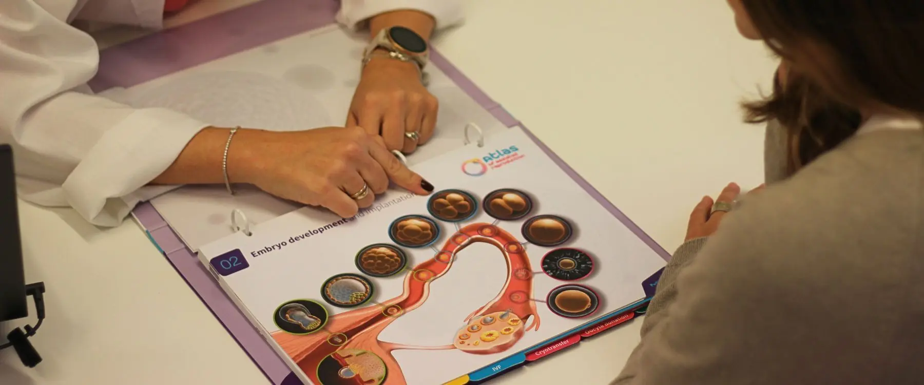 clínicas para donar ovulos en madrid