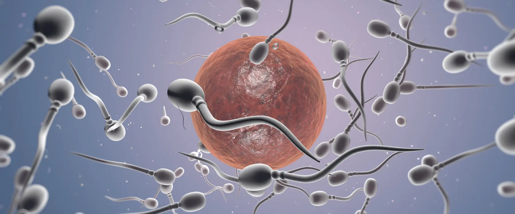 IVF met een spermadonor IVF met een spermadonor