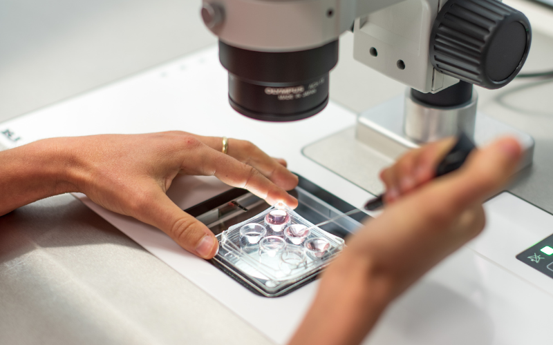 negatieve IVF- laboratorium negatieve IVF- laboratorium