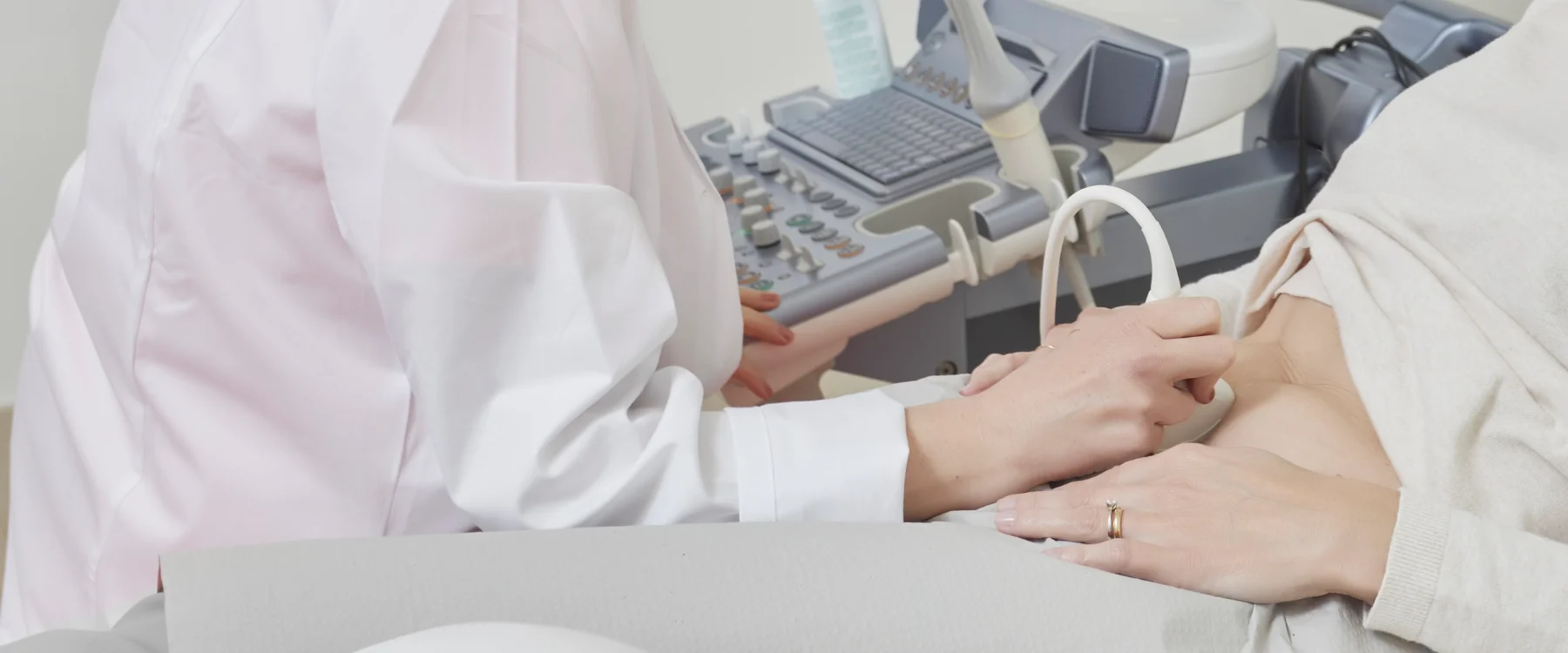 amenorrea y fertilidad